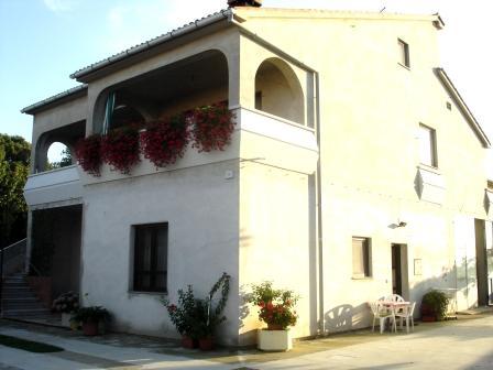 Apartments Tintor