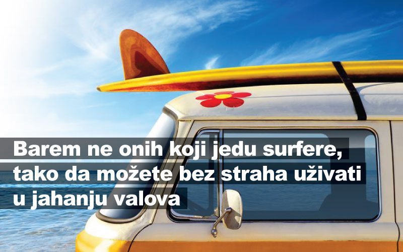 Barem ne onih koji jedu surfere, tako da možete bez straha uživati u jahanju po valovima 