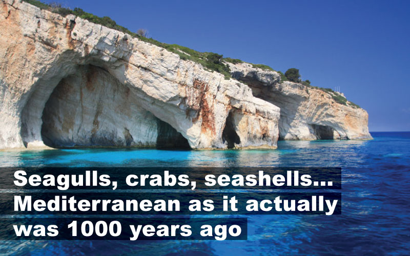 Seagulls, crabs, seashells... Mediterranean as it actually was 1000 years ago