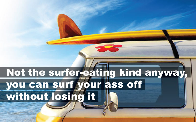 Not the surfer-eating kind anyway, you can surf your ass off without loosing it
