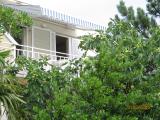 A 5 minute walk from town Selca, as well as the beach is a modern furnished apartment consisting of...