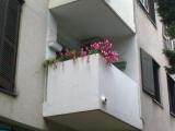 Appartement Jelena est au premier étage d'un immeuble résidentiel dans le centre de Biograd na...