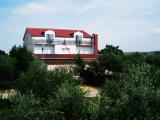 Welcome to the island where the tree grows horizontally. We offer rent, apartments, bio-energy treatments...