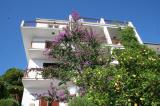 Villa Mladina - Zdenka Dadas Hvar Jelsa