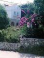  Sobe Čuikin-Villa Kljunak