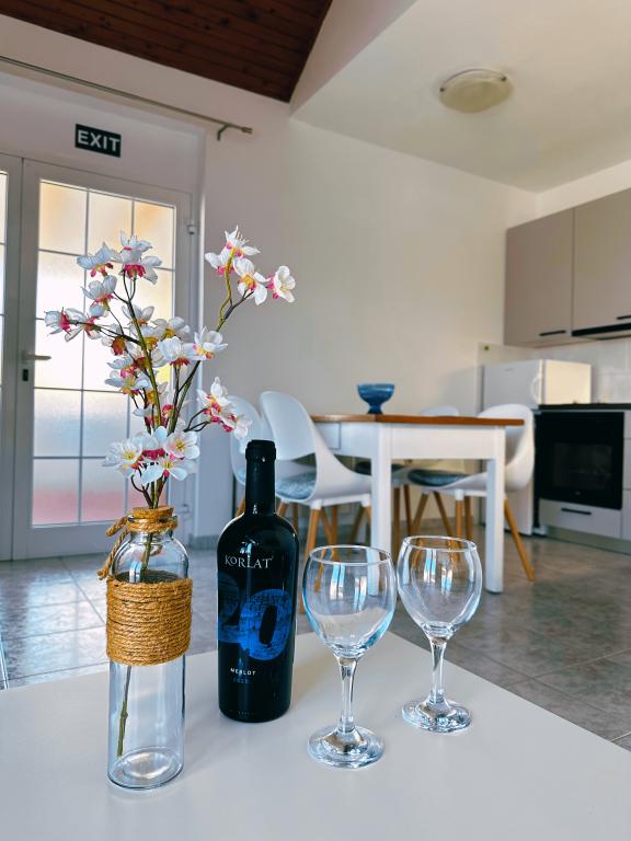 Apartmani Murter Apartmani Vilma Apartmanija.hr